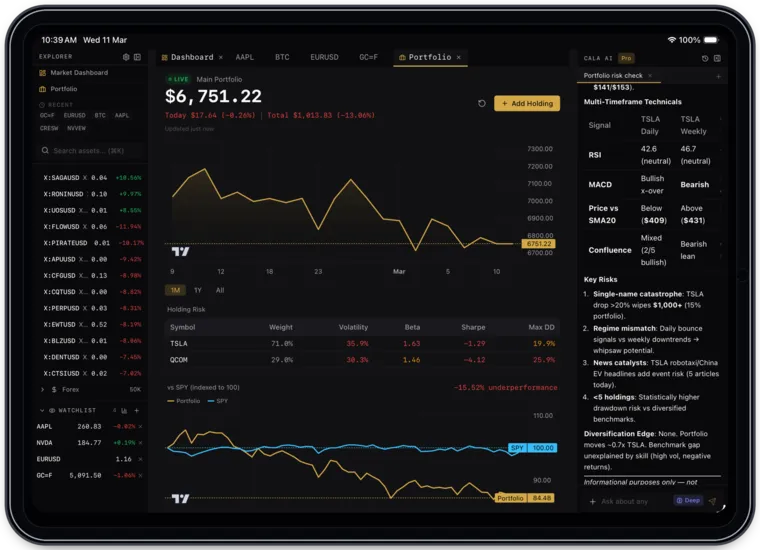 Watchlist risk metrics panel showing Sharpe ratio, Sortino ratio, max drawdown, benchmark comparison chart, and sector allocation inside an iPad Pro